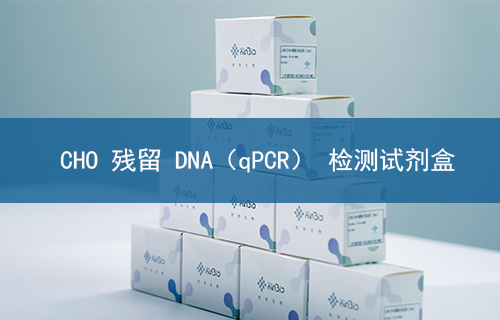 CHO 残留 DNA（qPCR） 检测试剂盒